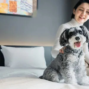 3* ホテル Anddoggy Nijo